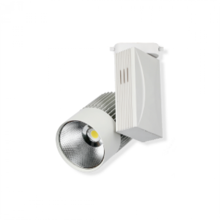 40W Colmar Siyah Led Ray Spot