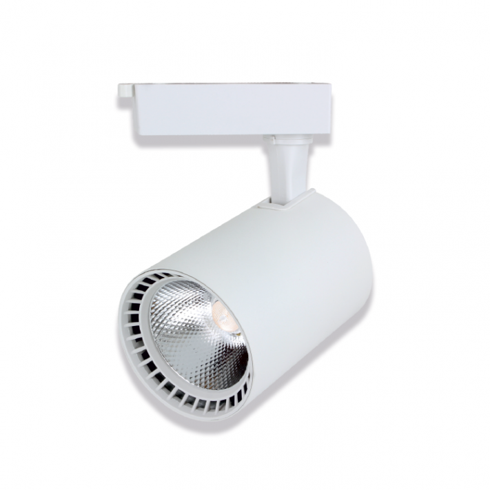 30W Paris Beyaz Led Ray Spot