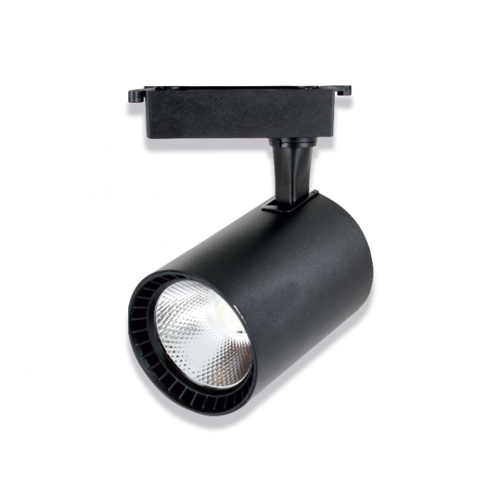 30W Paris Siyah Led Ray Spot