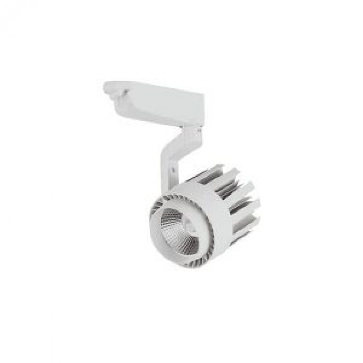 35W Marsilya Beyaz Led Ray Spot