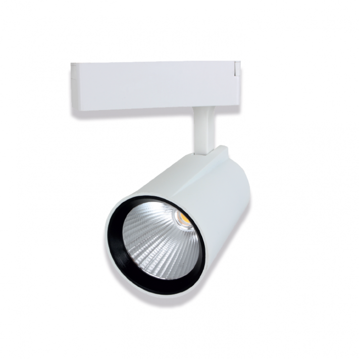 40W Lyon Beyaz Led Ray Spot