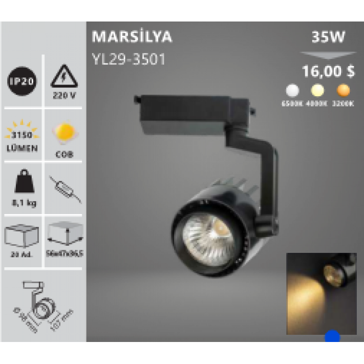 35W Marsilya Siyah Led Ray Spot